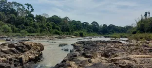 z4155875602986_fe6b85c45aea7e53d3d62ae7a448af15.jpg